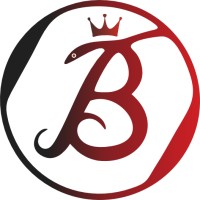 BLAKOLE Inc logo - Similar company to Prazision Tech