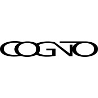 Cognito Marketing logo - Similar company to Cognition Agency Romania