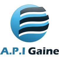 A.P.I GAINE logo - Similar company to Fgv 95 / Fgv Services