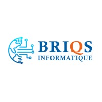 BRIQS Informatique logo - Similar company to Pgit