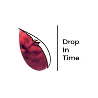 Drop In Time