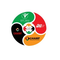 CHAMP Health Solutions logo - Similar company to Buffalo Bicycles