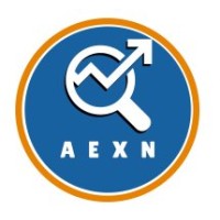 AEXN Consultoria SAP logo - Similar company to Aureum Advisors