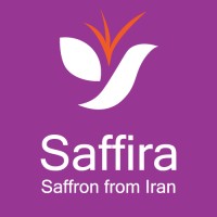 Saffira logo - Similar company to Bruce Ai