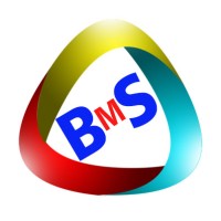 Bridgeline Management Services logo - Similar company to Devaansh Software Solutions Pvt Ltd