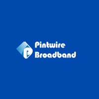 PINTWIRE INFOMATICS PRIVATE LIMITED logo - Similar company to Paynet Digital Network Private Limited