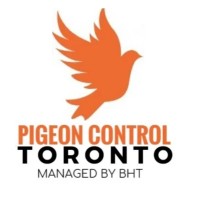 Pigeon Control Toronto logo - Similar company to Ithamar Pest Control (Ipmcare)