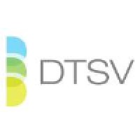 DTSV, Inc. logo - Similar company to Ldrm Group