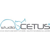 Studio Cetus (company with sole member) logo - Similar company to Sinergo Group