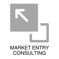 Market Entry Consulting logo - Similar company to Mvx