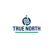 True North Consultants, MN logo - Similar company to True North Consultants, Inc.