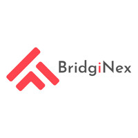 BridgiNex logo - Similar company to Mvpex