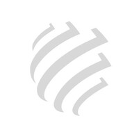 Salini Impregilo logo - Similar company to Webuild