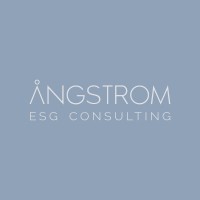 Angstrom Consulting logo - Similar company to Berg Institute