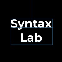 Syntax Lab logo - Similar company to Brilliancy Research Limited