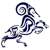 Áries Tecnologia - Infraestrutura e Serviços logo - Similar company to Custom Finishers, Inc.