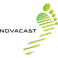 NovaCast Systems Southeast Asia logo - Similar company to Smartvivlabs