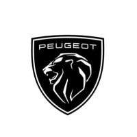 Garage Peugeot Hidalgo logo - Similar company to Amyal