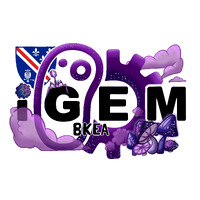 iGEM BKEA logo - Similar company to Igem Latvia-Riga