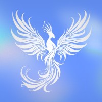 Veriscope Studios logo - Similar company to Grapho