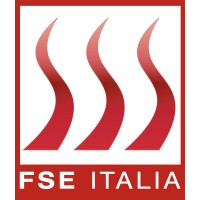 FSE ITALIA Srl logo - Similar company to Fseng - Ingegneria Antincendio Milano