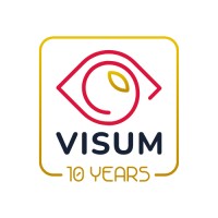 VISUM summer school logo - Similar company to Cbs Summer University