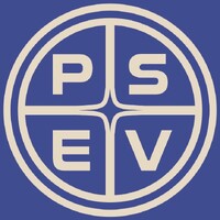 Palm Springs EV logo - Similar company to Tizra
