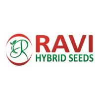 Ravi Hybrid Seeds logo - Similar company to Kern Seedtech