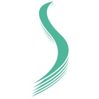 Satthi Solutions logo - Similar company to Theoria Tech