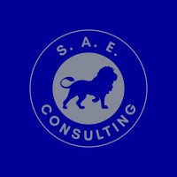 SAE Consulting logo - Similar company to Sae Consulting