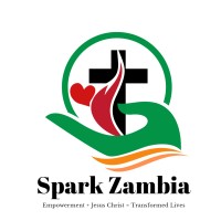 Spark Zambia logo - Similar company to Eleveight Wellness Solutions