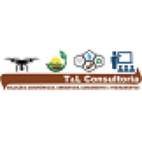 T&L Consultoria