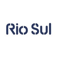 RIO SUL SA DE C.V logo - Similar company to Dimension Ocho