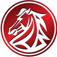 Vision Alliance Holdings logo - Similar company to International Nlp Association