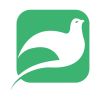 Platin group logo - Similar company to Saminrayaneh