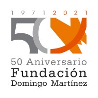 Fundación Domingo Martínez logo - Similar company to Colegio Profesional De Ingeniería Informática De Castilla Y León
