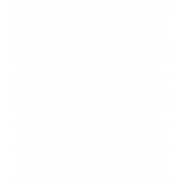 NET1 UEPS Technologies Inc. logo - Similar company to Lesaka Technologies Inc.