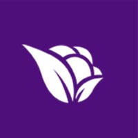 Violetta Cosméticos logo - Similar company to Asociación Argentina De Químicos Cosméticos