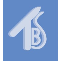 The Blue SkAI logo - Similar company to Luana Ai