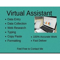 Data Entry & Lead Generation logo - Similar company to Cheap Data Entry Services