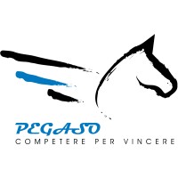 Pegaso Srl logo - Similar company to Labeldoo