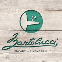 BARTOLUCCI FRANCESCO SRL logo - Similar company to Wte Srl