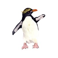 myjobo logo - Similar company to Whales Ventures