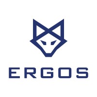 ERGOS Technology Partners, Inc. logo - Similar company to Steptomedia