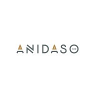 Anidaso 360 logo - Similar company to Fsl Virtual Services