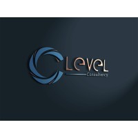 C Level Consultancy