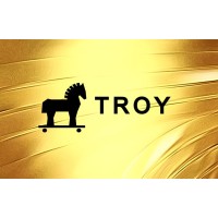 Troy Construction logo - Similar company to Tilta Uab