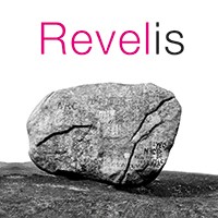 REVELIS - Agence d'ingénierie historique logo - Similar company to Master Histoire Reims