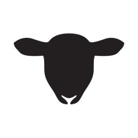 Mouton Noir Digital logo - Similar company to Institut Des Parons