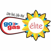 Elite Go Gas logo - Similar company to Lpg Retail (Tm Rodnik), Gt-Group